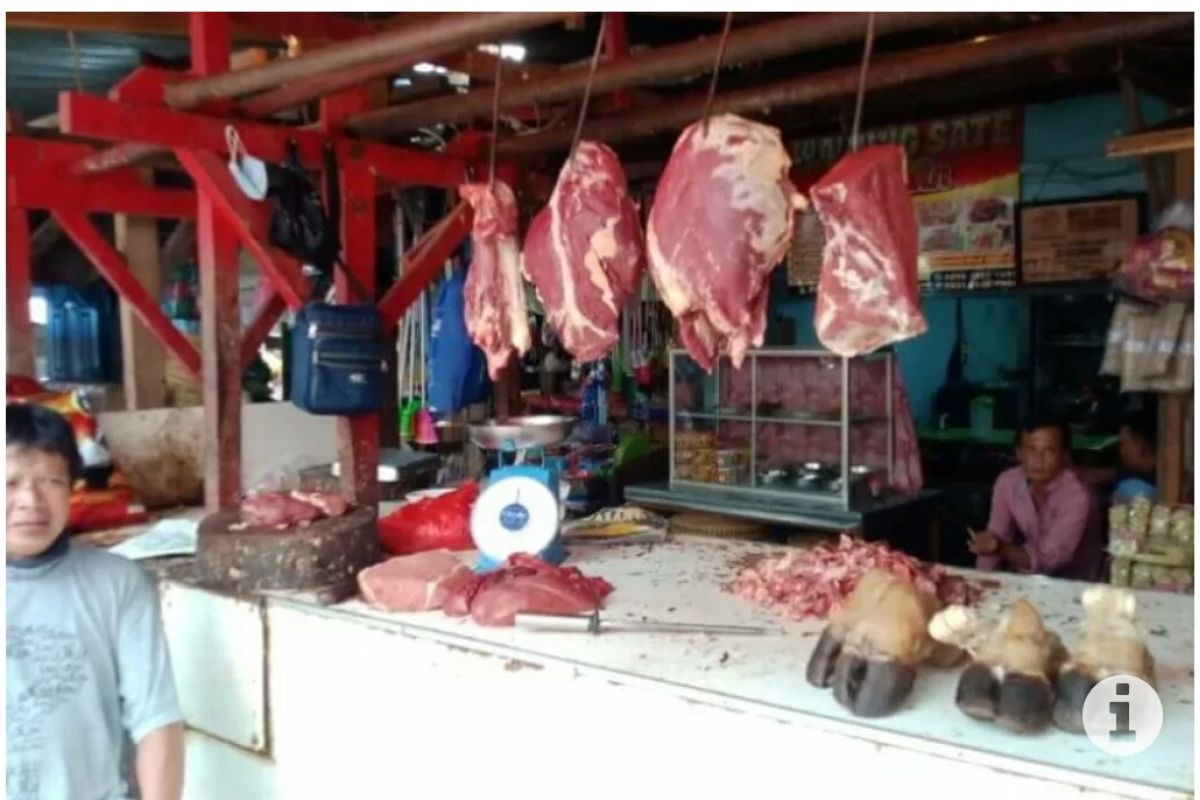 Lampung diminta tambah suplai daging sapi ke Jakarta