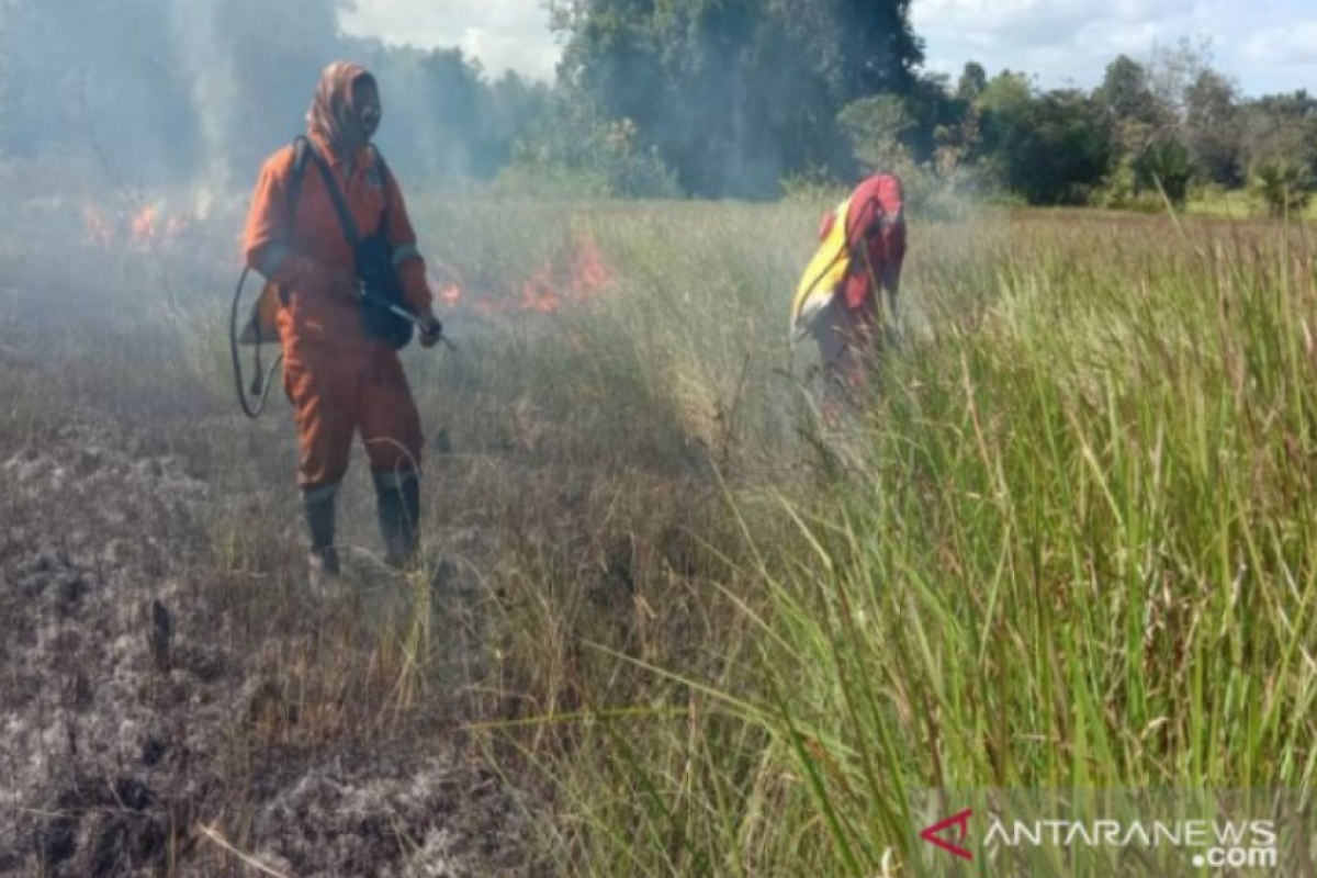 Padang savana 4,5 hektare Taman Nasional Rawa Aopa Watumihao terbakar