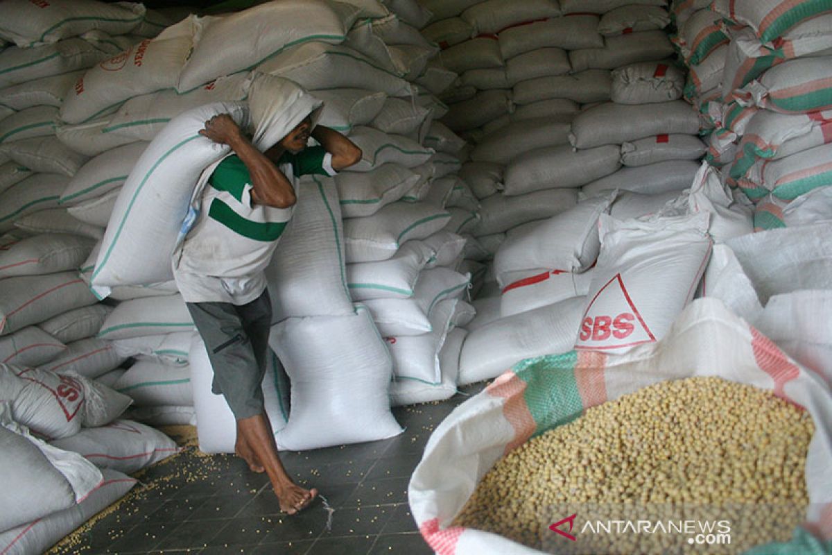 Kemendag: Stok kedelai cukup penuhi kebutuhan nasional