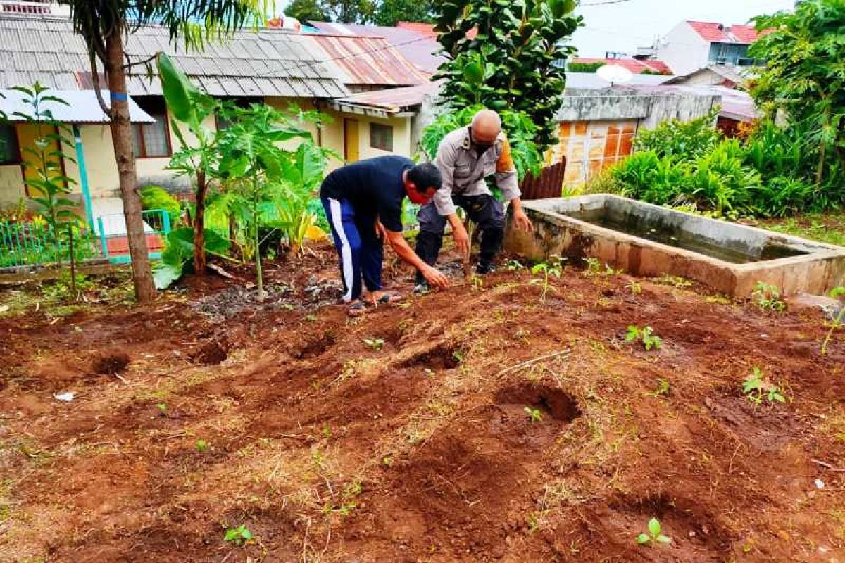 Polsek Jayapura Utara beri bantuan bibit sayur ketahanan pangan