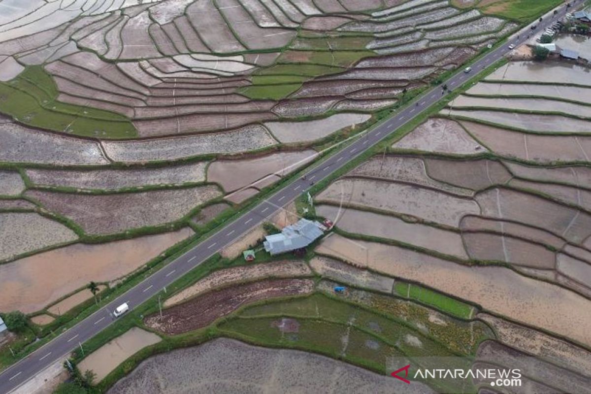 Ini tantangan pemenuhan ketersediaan pangan di Kota Padang