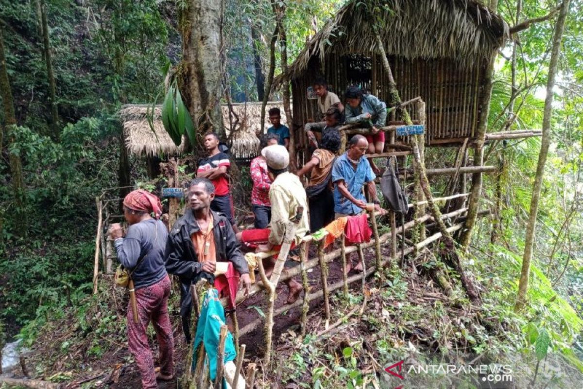 Pemkab Donggala dukung objek wisata alam rumah pohon di Pinembani