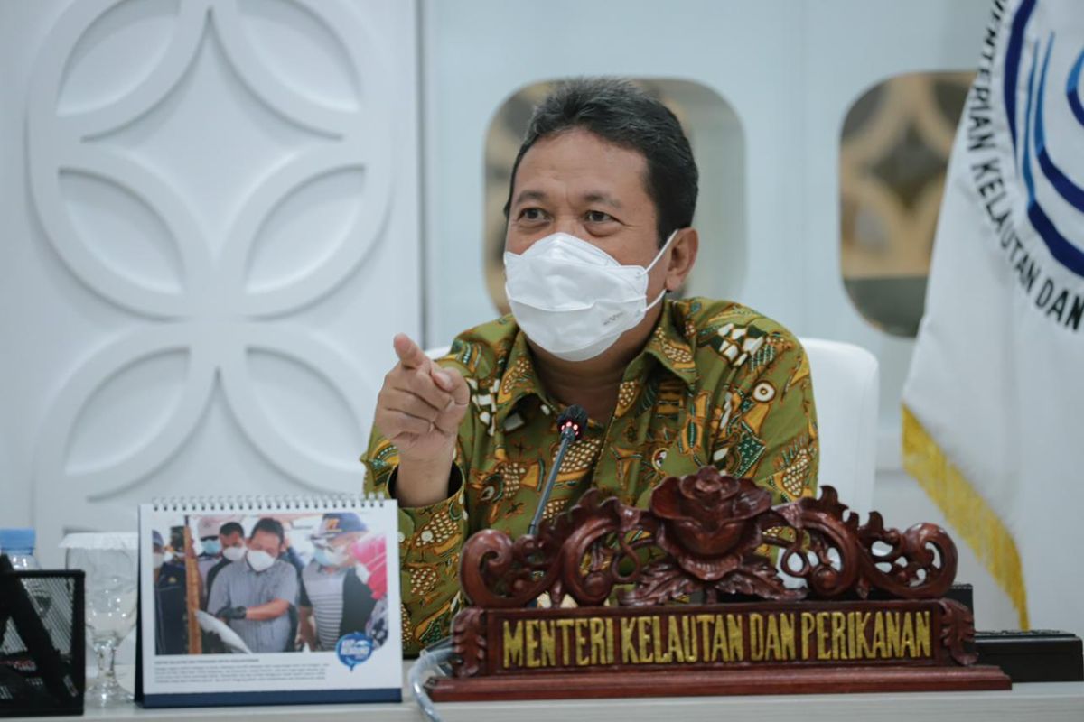 KKP dorong riset budi daya komoditas teripang pasir