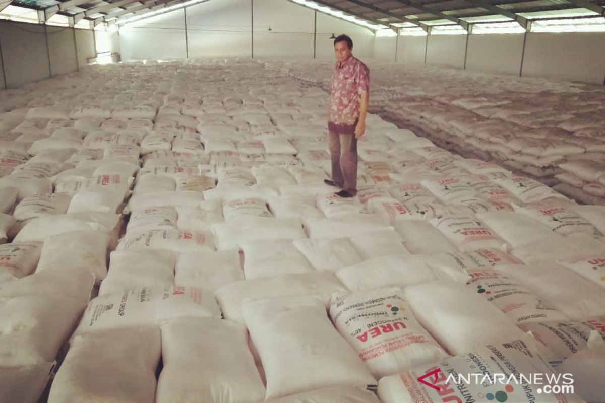 Alokasi pupuk urea bersubsidi di Jember pada 2021 turun