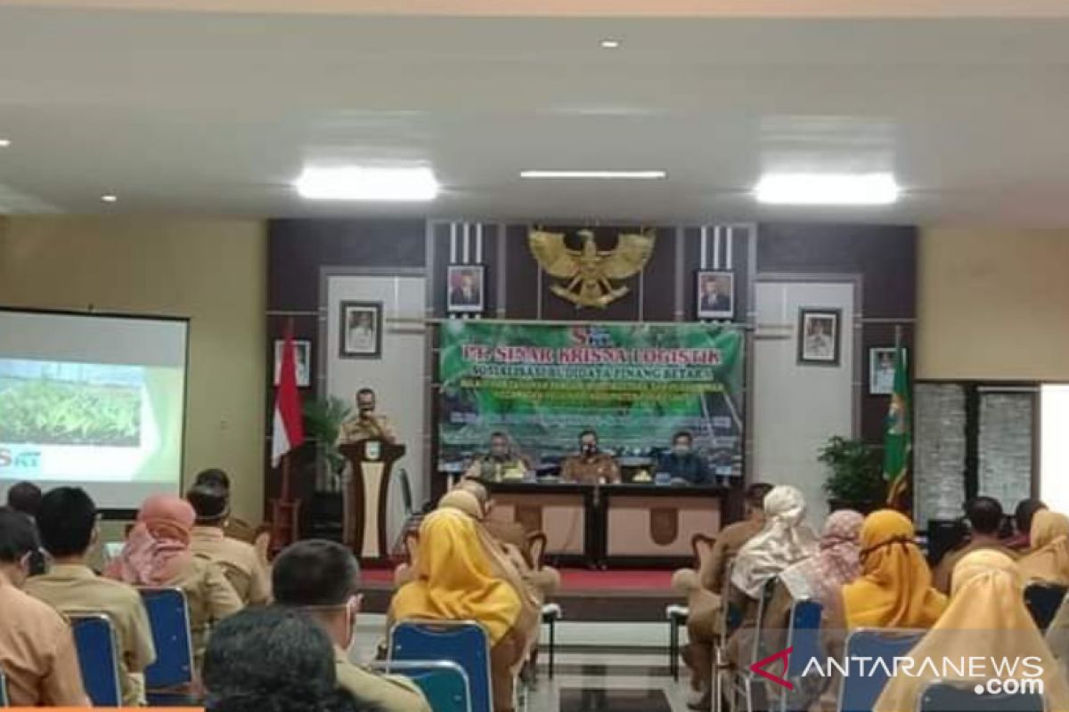 80 peserta ikuti sosialisasikan budidaya pinang betara