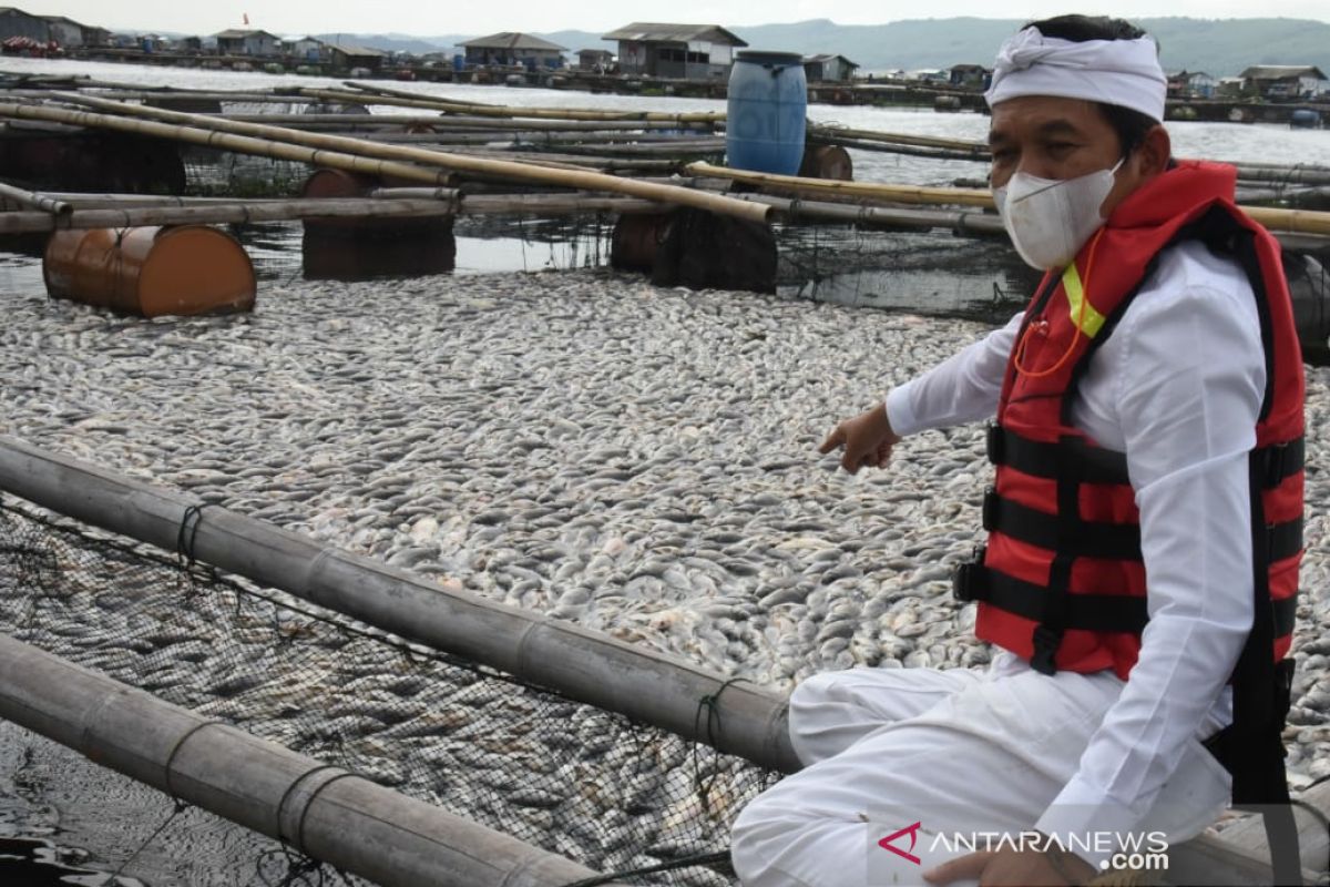 Dedi Mulyadi: Perlu pengaturan pola tanam atasi ikan mati massal di Jatiluhur