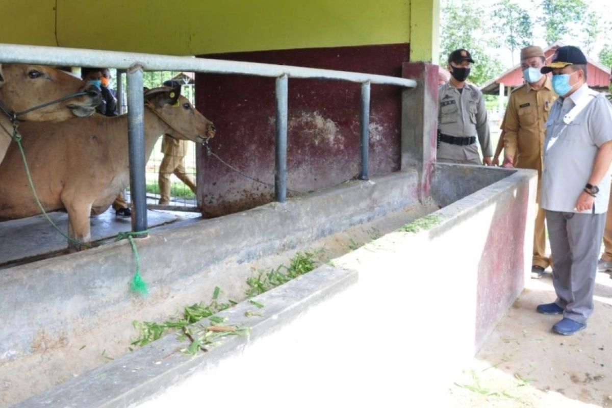 Pemprov Gorontalo kembangkan sarpras di Balai Perbibitan Ternak