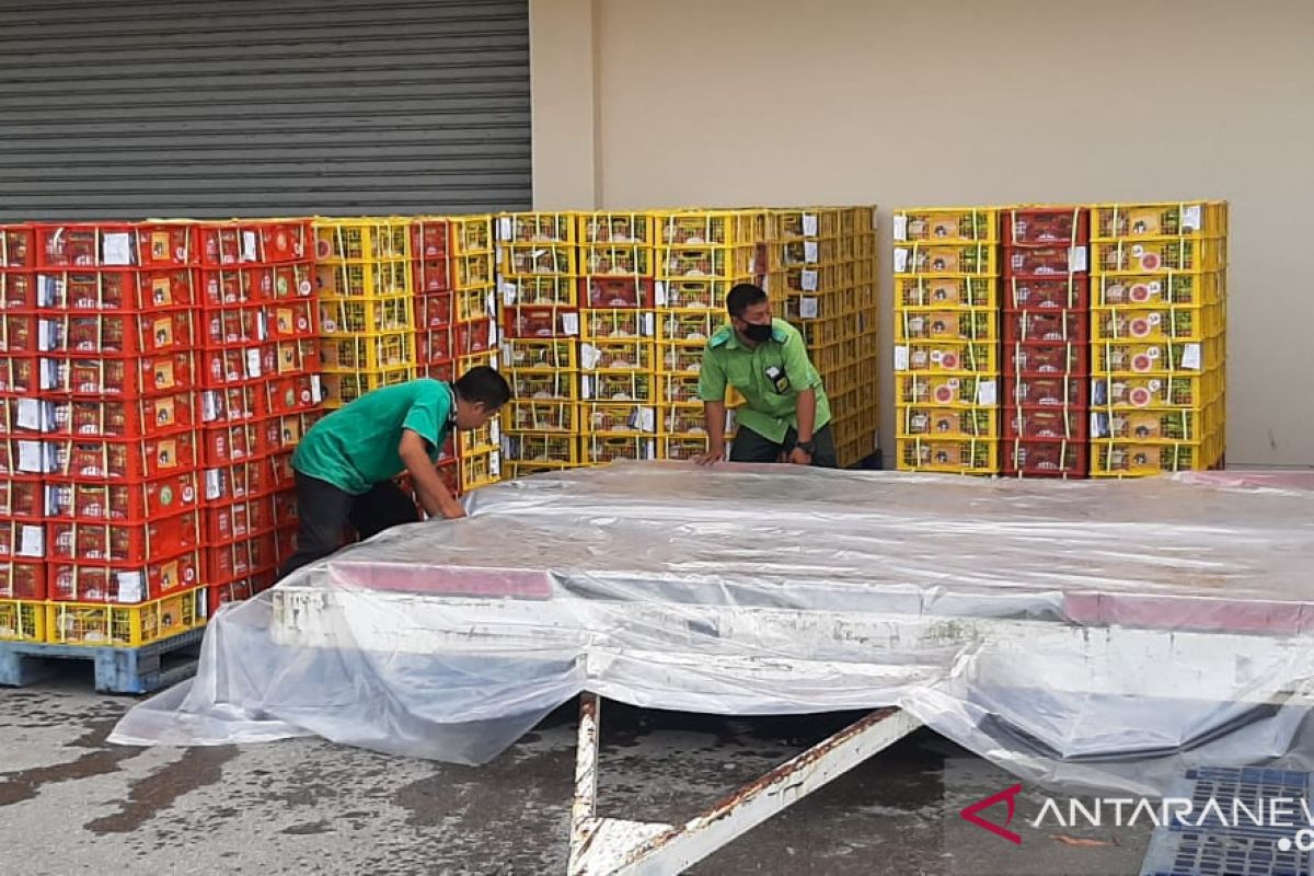 Karantina Padang sertifikasi manggis ekspor senilai Rp32,88 miliar