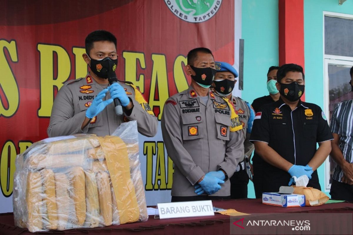 Polres Tapteng amankan 1 karung ganja kering seberat 13 Kg