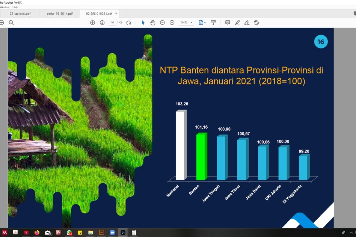 Nilai tukar petani di Banten Januari 2021 naik 0,42 persen