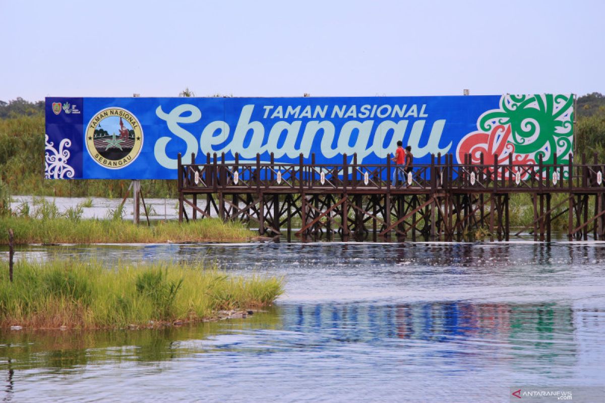 Disbudparpora Kota Palangka Raya garap pagelaran seni budaya secara daring