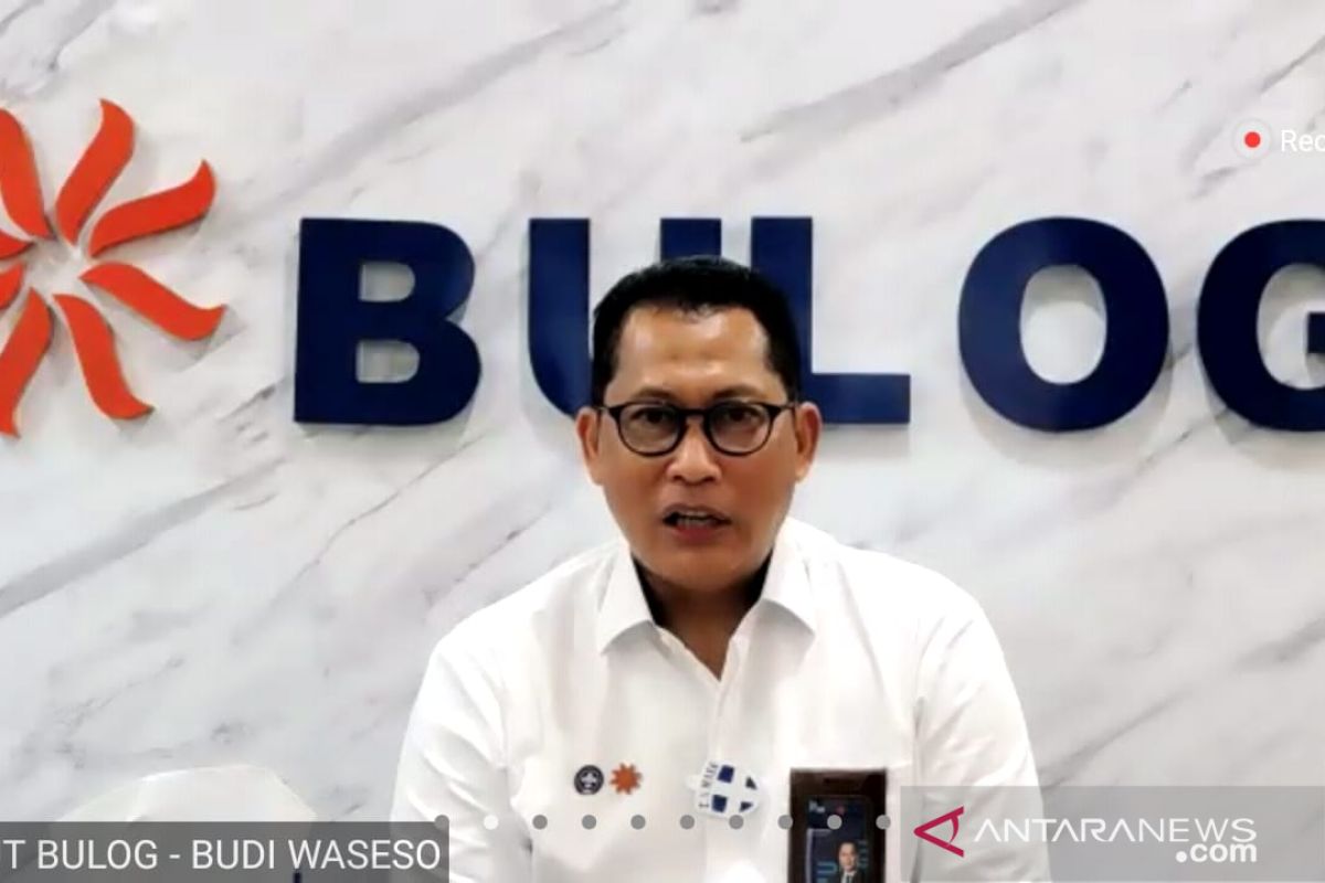 Bulog bangun penggilingan modern, produksi beras premium terjangkau