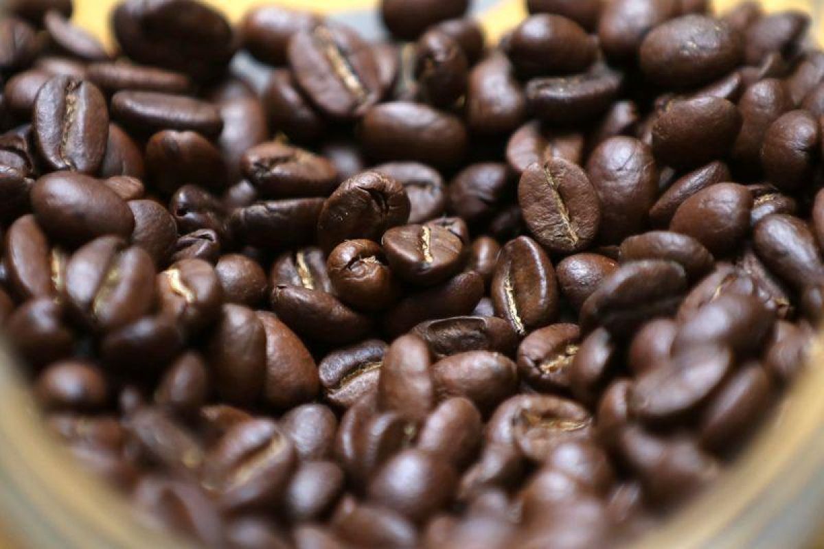 ICO perkirakan surplus pasokan kopi global tahun ini naik tajam