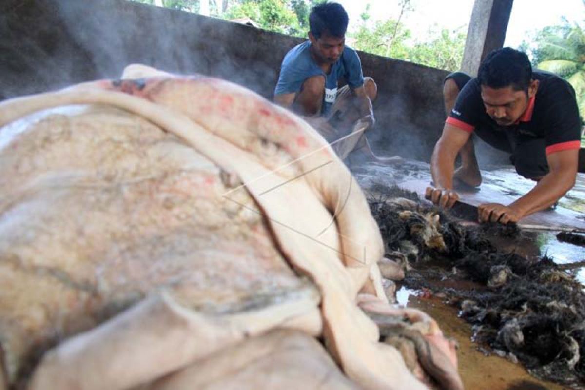 Produksi kerupuk kulit di Aceh kendala bahan baku