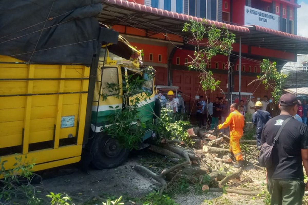 Sopir mengantuk, truk tronton tabrak pohon