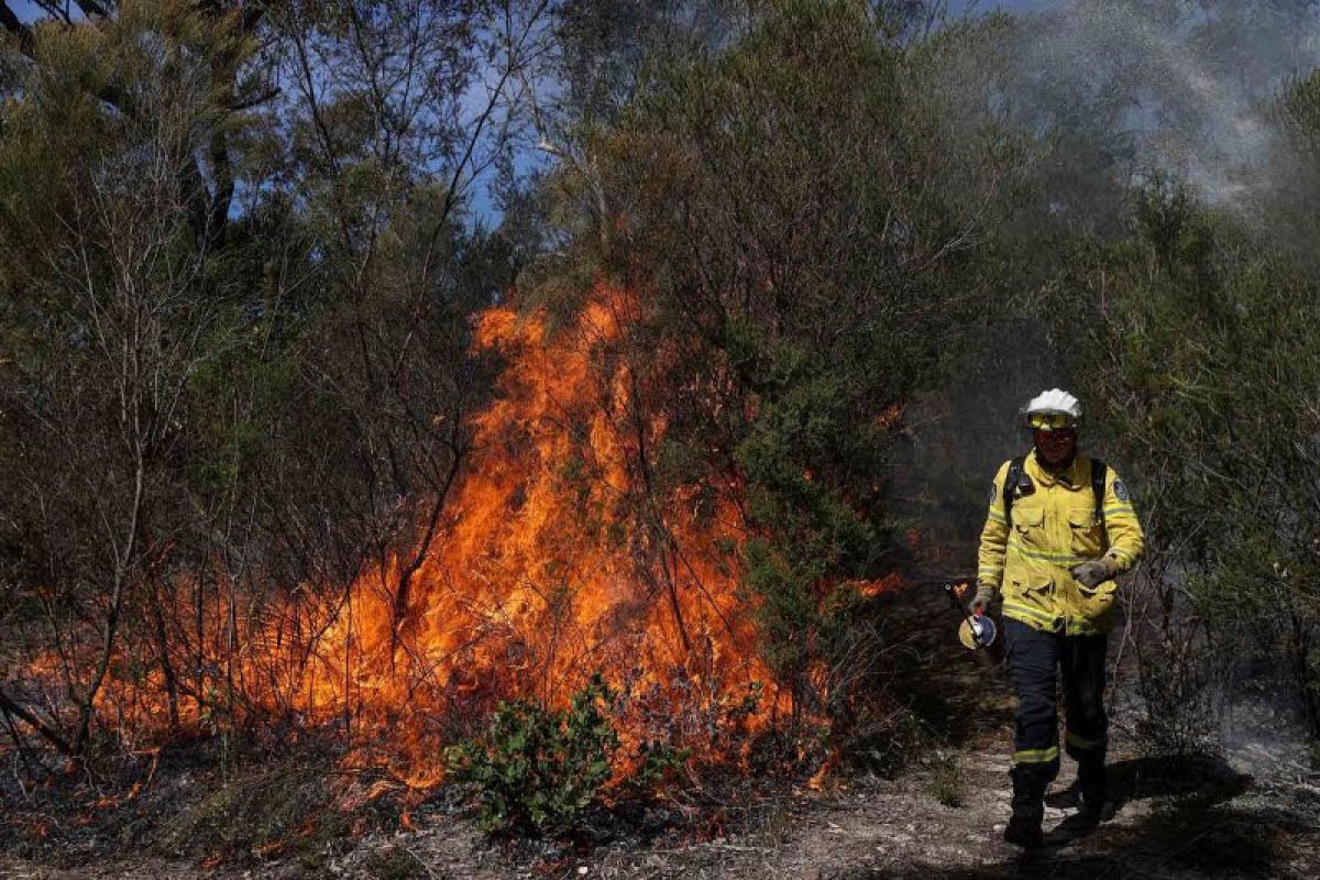 81 rumah di Australia hancur dilalap api