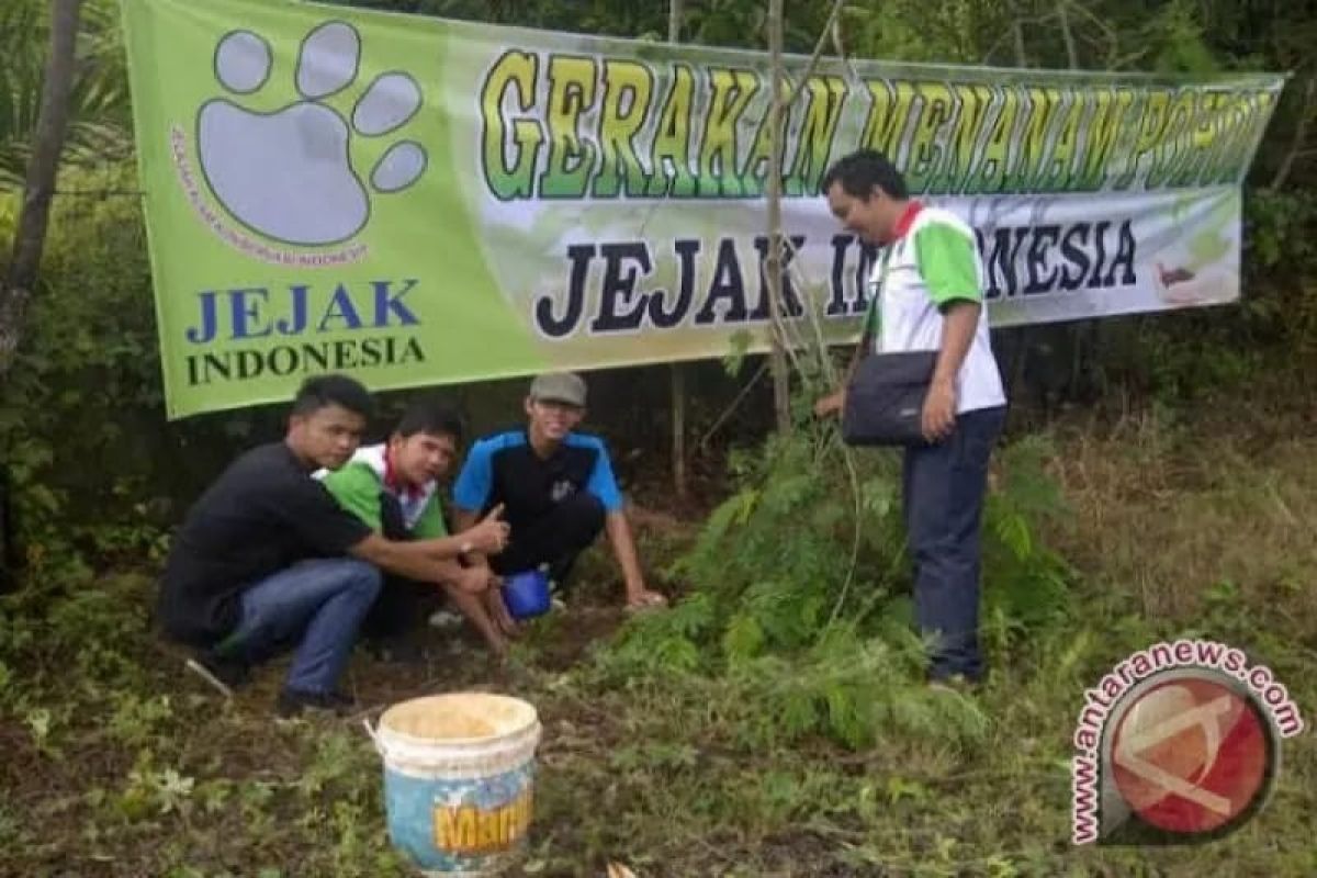 Jejak Indonesia tanam 100 ribu bibit pohon  produktif