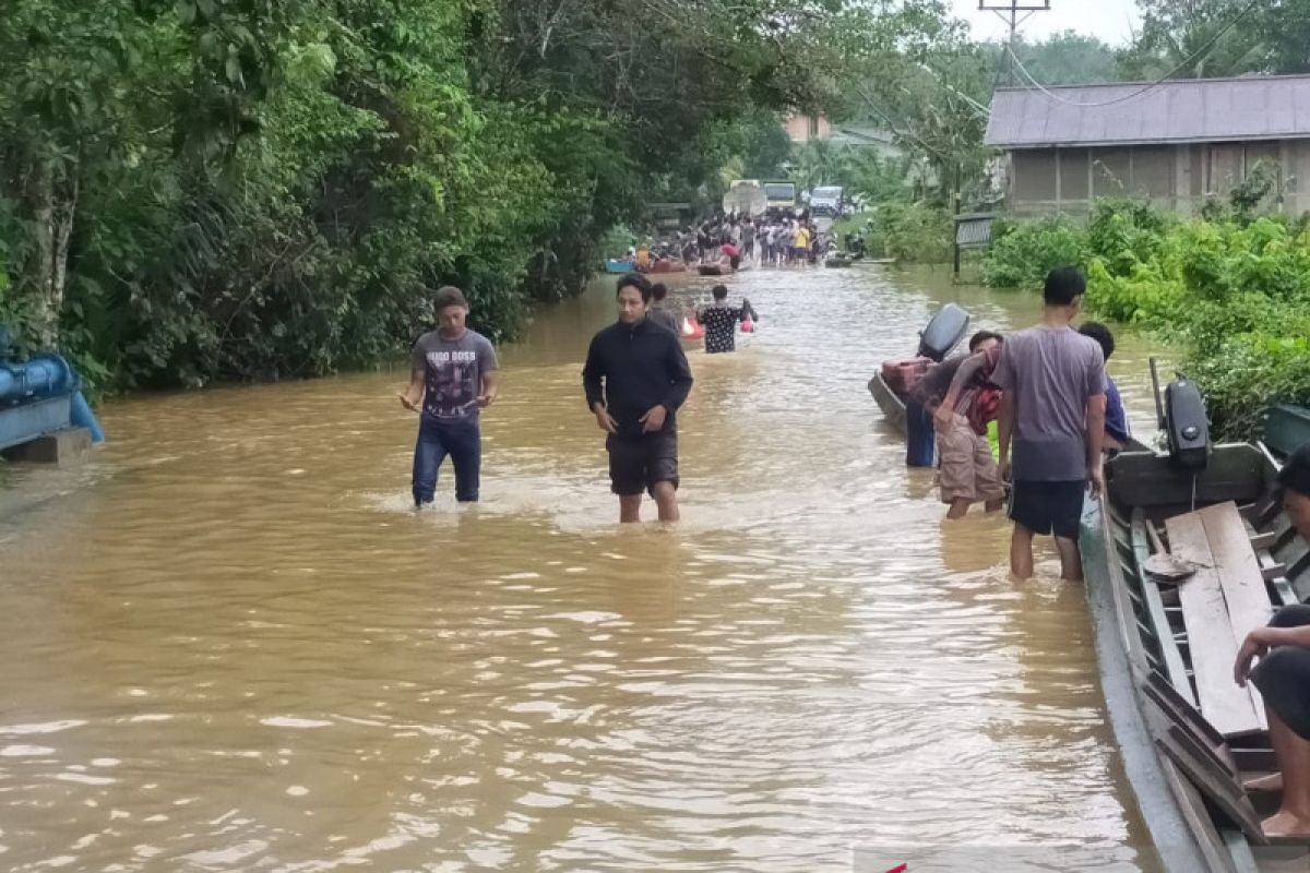 Ratusan rumah di Bengkayang kembali terendam banjir akibat hujan lebat