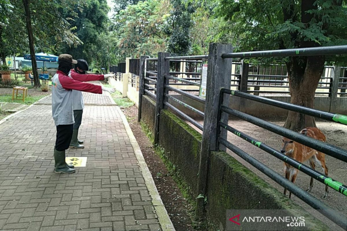 TSTJ sementara ini sebagai lembaga konservasi