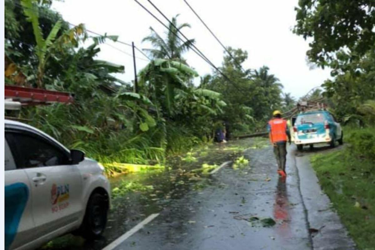 Cuaca ekstrem, PLN berhasil normalkan pasokan listrik di Klaten, Boyolali, dan Kulon Progo