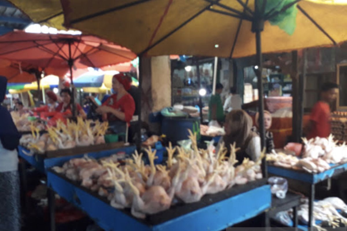 Masyarakat serbu ayam dan ikan di Pasar Segiri Samarinda