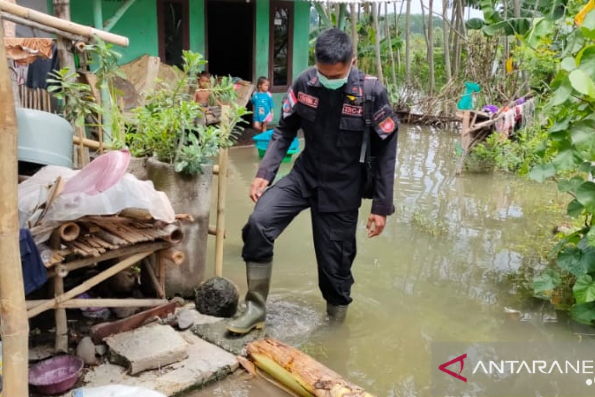 Puluhan rumah di Lumajang terendam banjir luapan sungai