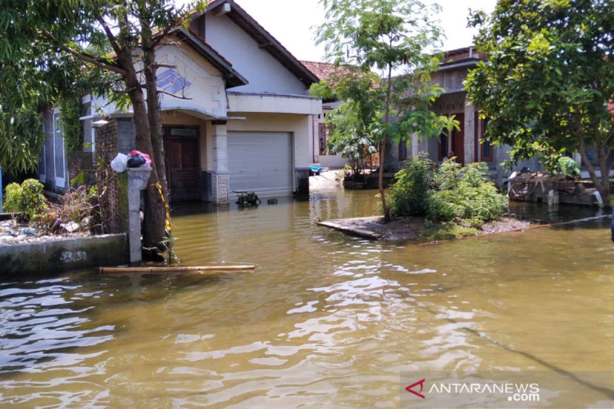 Genangan banjir di Kudus meningkat, warga mulai mengungsi