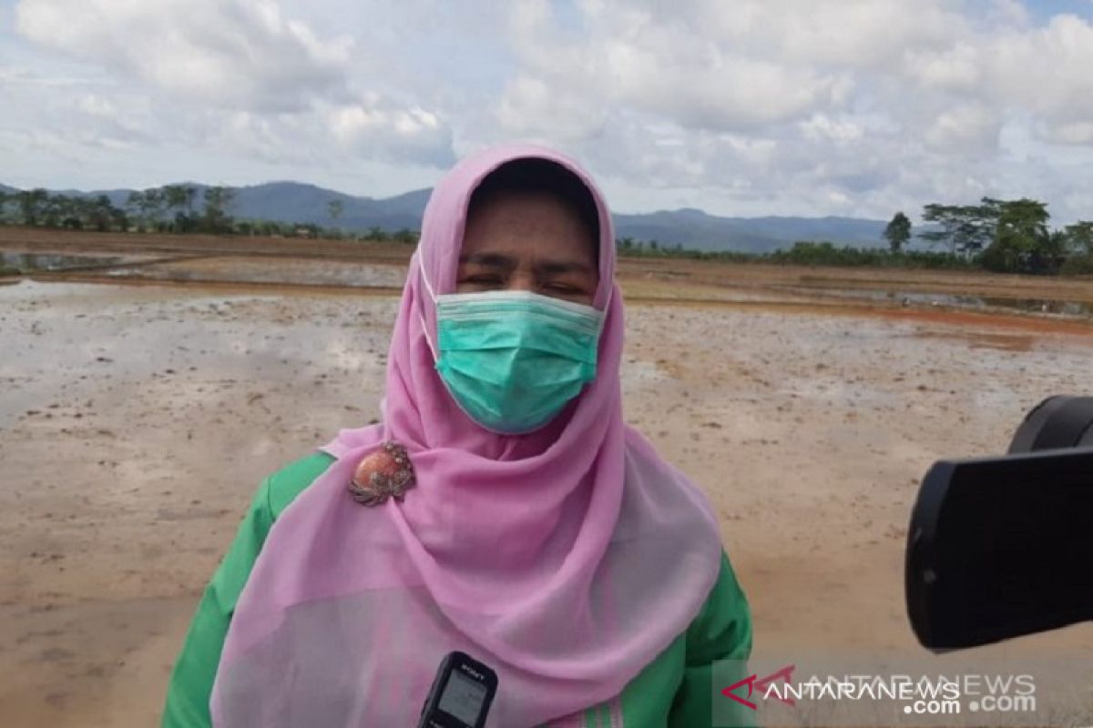 Pemkot Kendari salurkan empat ton benih padi ke petani