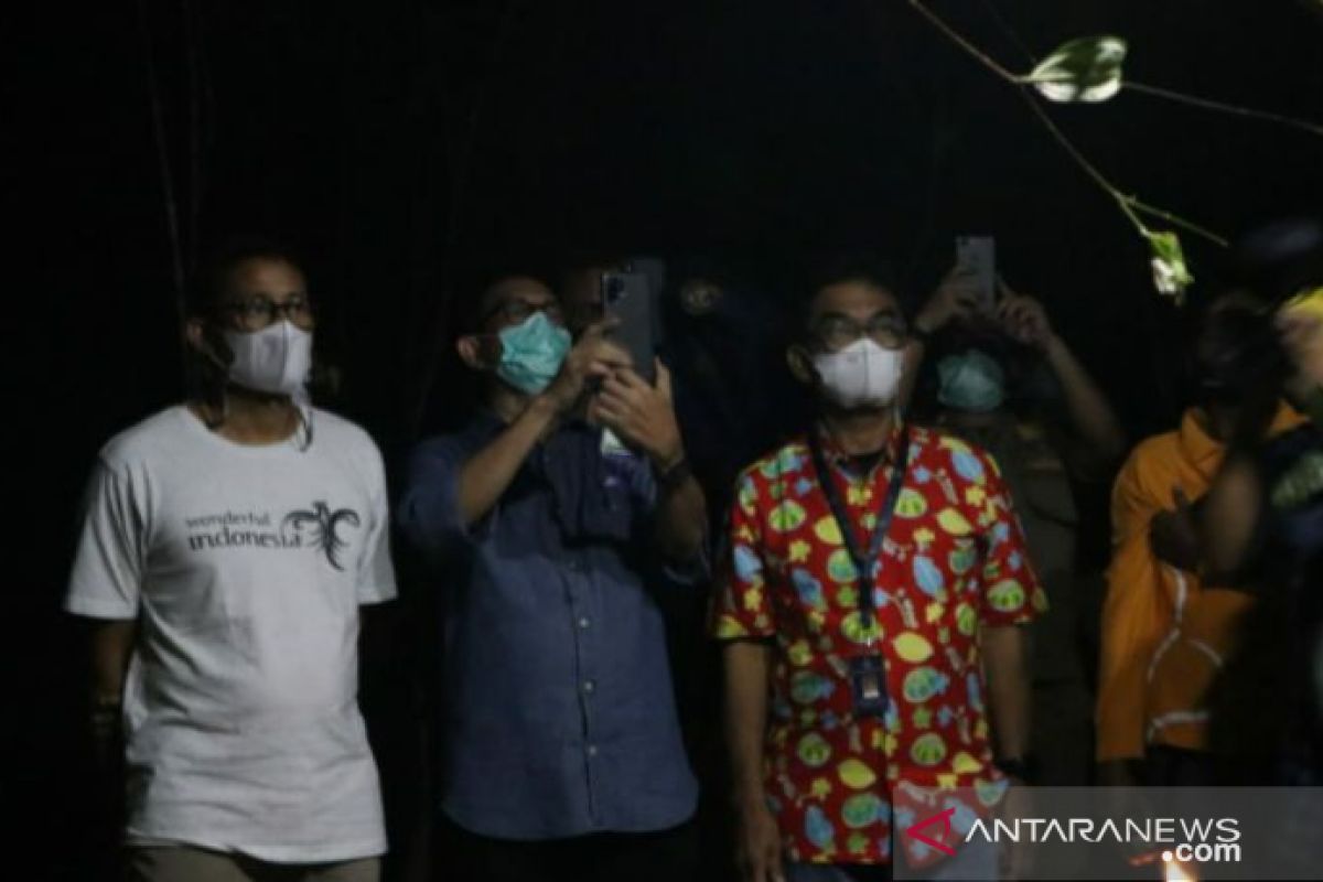 Menteri Sandiaga Uno kunjungi Bukit Peramun saksikan hewan tarsius