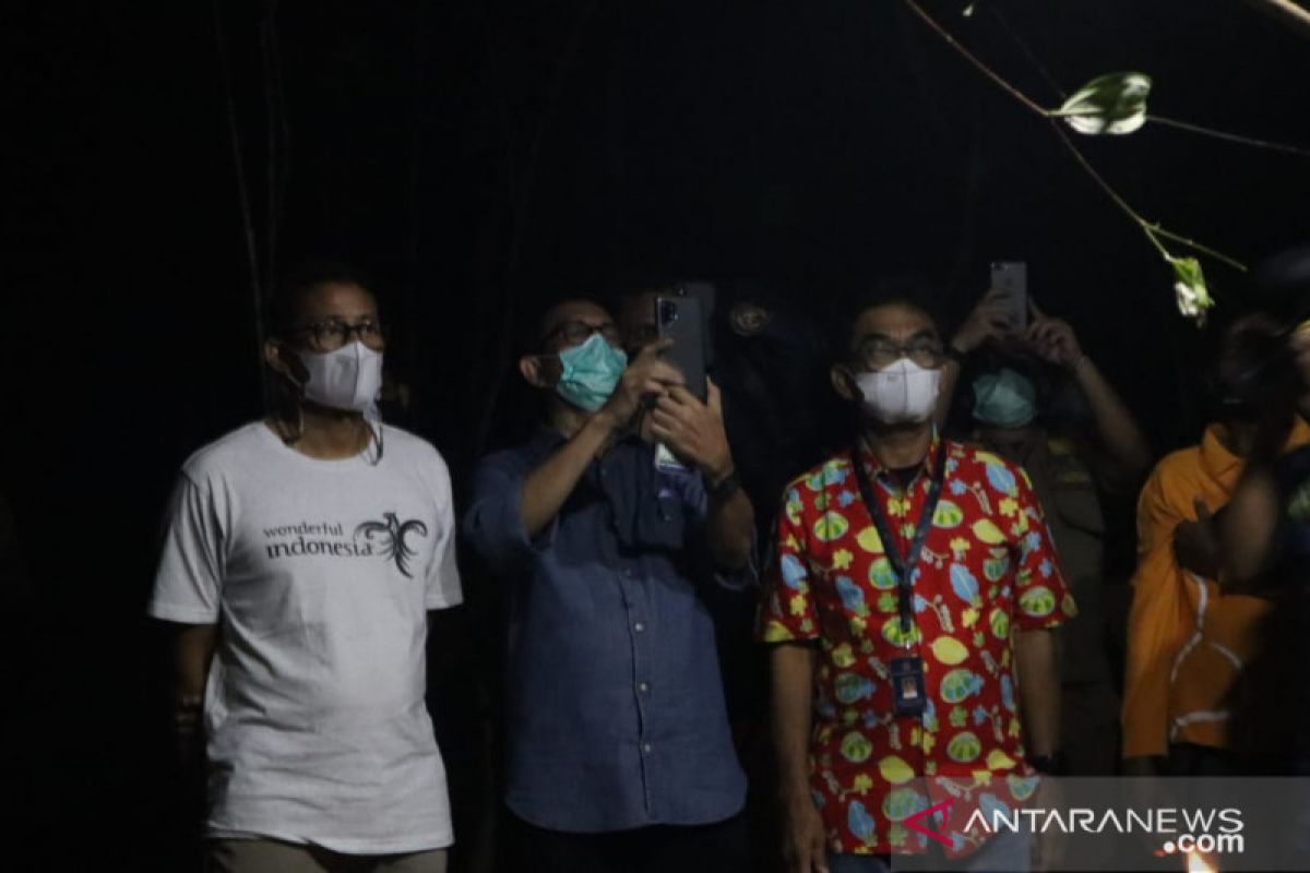 Menteri Sandiaga Uno berharap kelestarian tarsius di Belitung terjaga