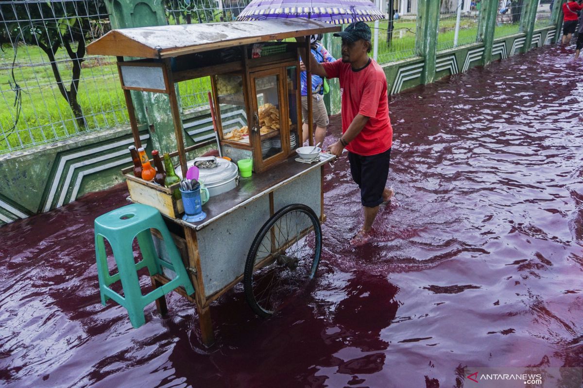 BRIN kembangkan teknologi pengurangan limbah industri batik cetak