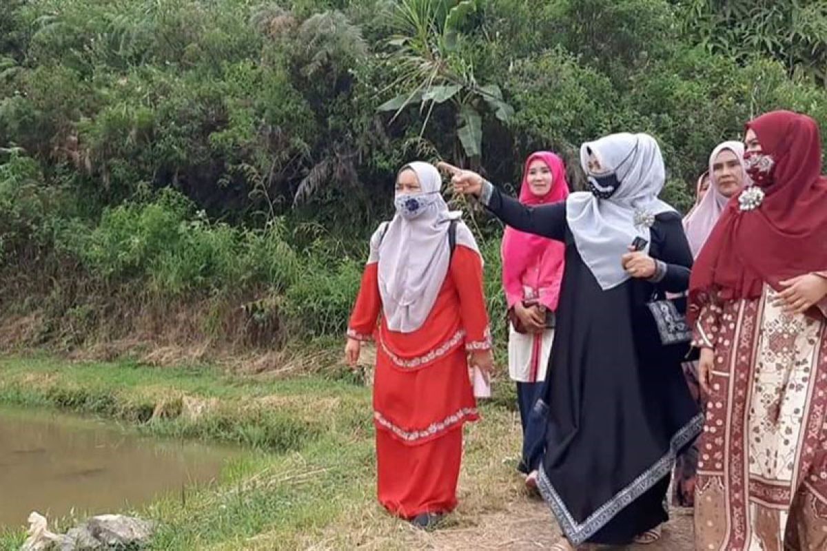 Aceh Tengah lirik agrowisata taman bunga dan kebun sayur