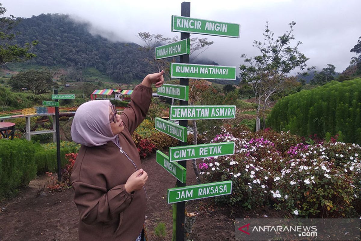 Pemkab Aceh Tengah gandeng PKK kembangkan agrowisata taman bunga dan kebun sayur