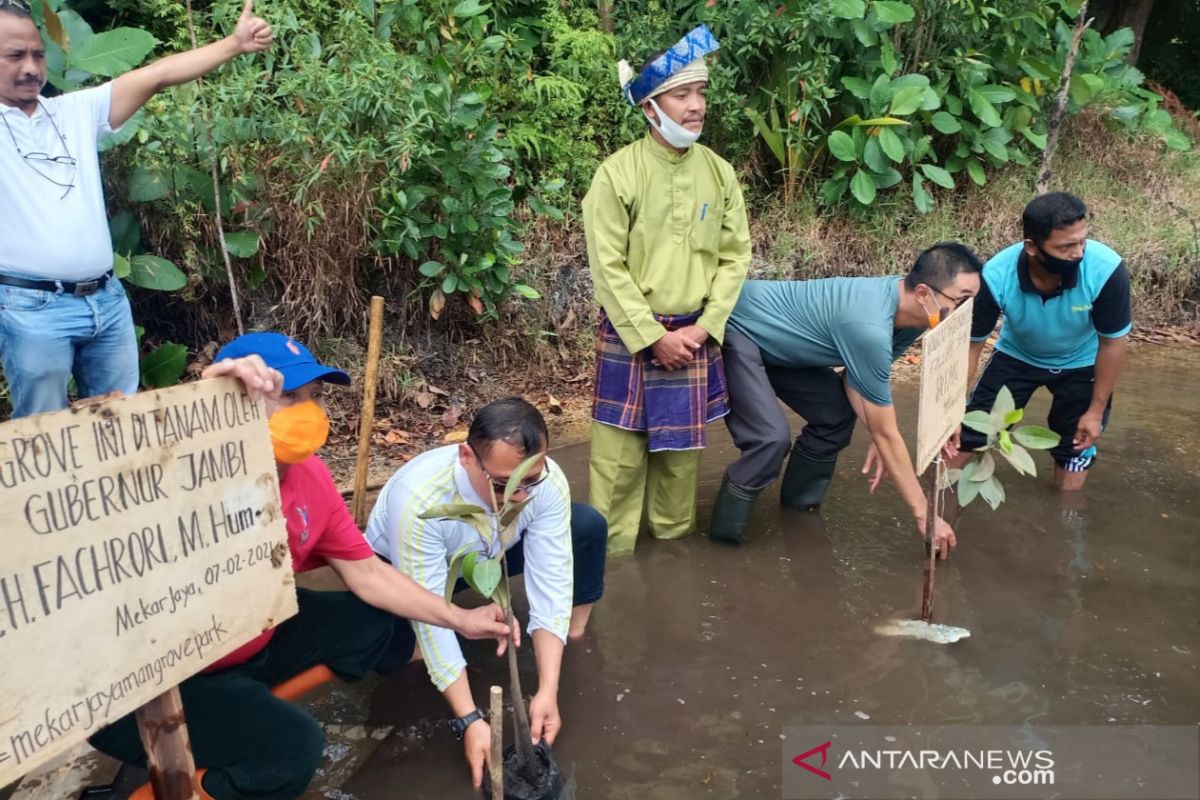 Kunjungi Natuna, Gubernur Jambi tanam bakau