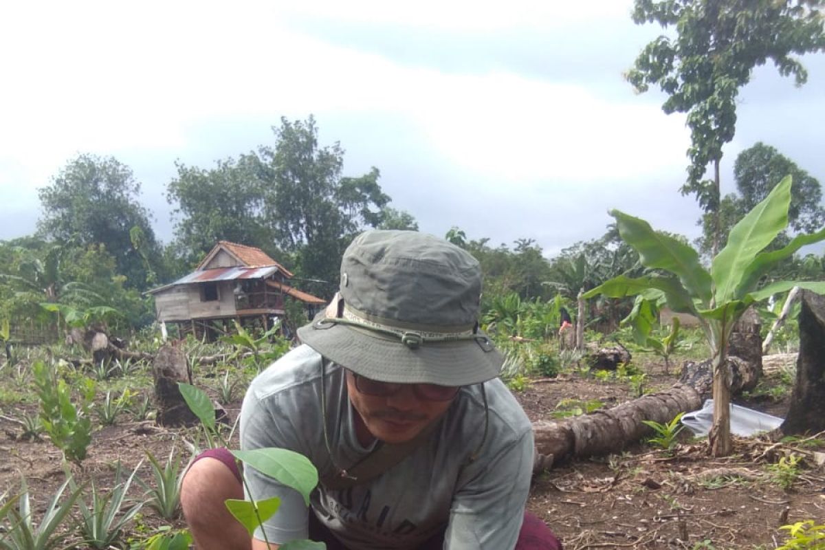 LP3L ajak warga  tanam pohon untuk lestarikan alam