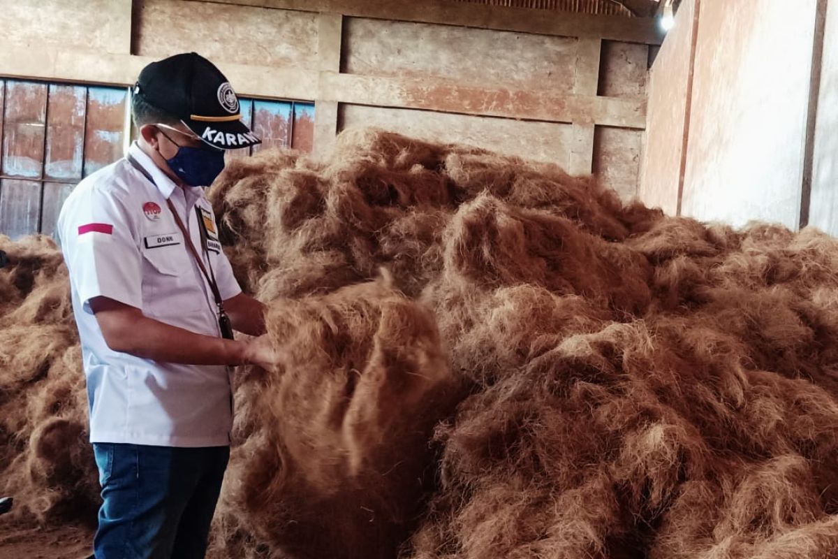 Barantan Manado fasilitasi ekspor 75 ton sabut kelapa ke Korea Selatan