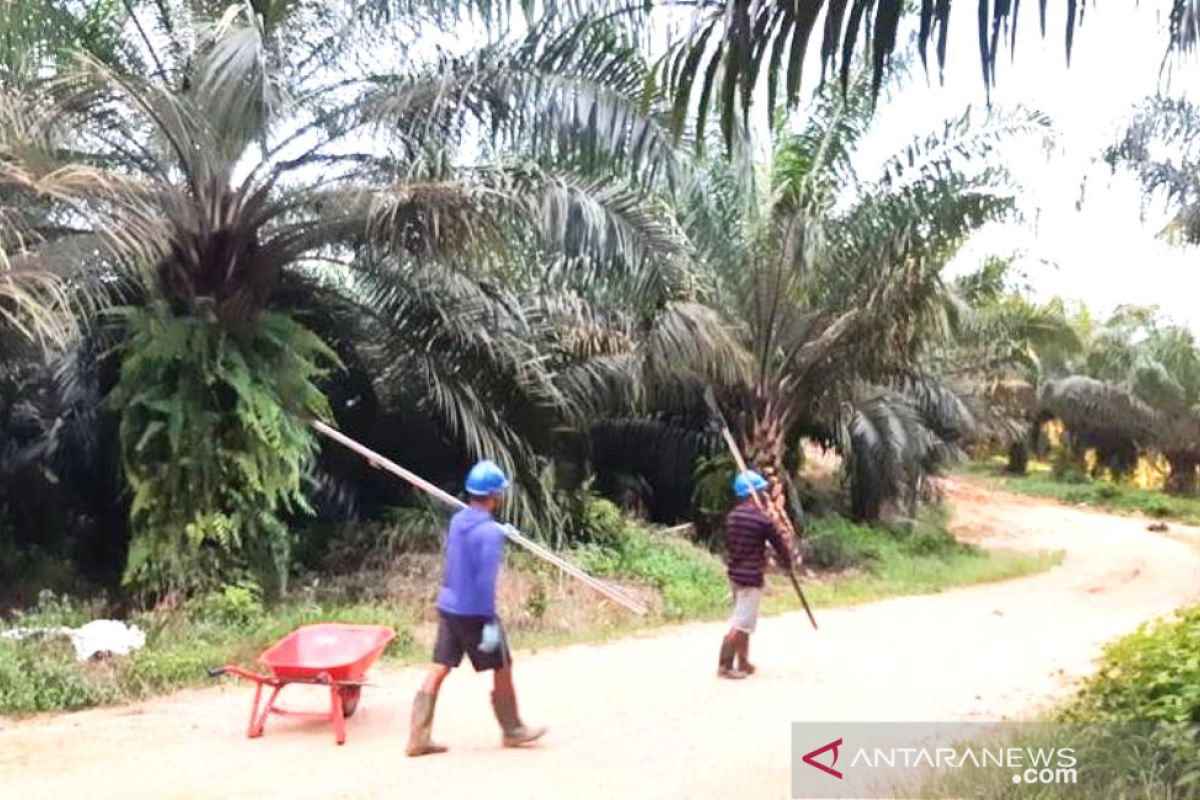 Warga terdampak unjuk rasa di Long Bentuq