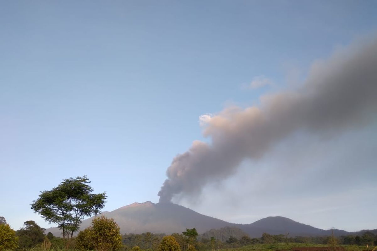 Hari ini kolom abu vulkanik erupsi Gunung Raung capai 2.000 meter