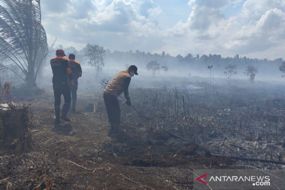 Satu hektare lahan terbakar di Desa Belantaraya Inhil