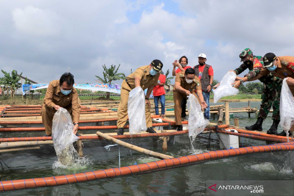 DKP berikan 7.000 benih ikan ke 14 Kelompok Wanita Tani se-Kota Tangerang