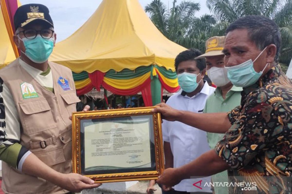 Bupati Akmal: Jengkol peluang bagi petani ingin berkembang