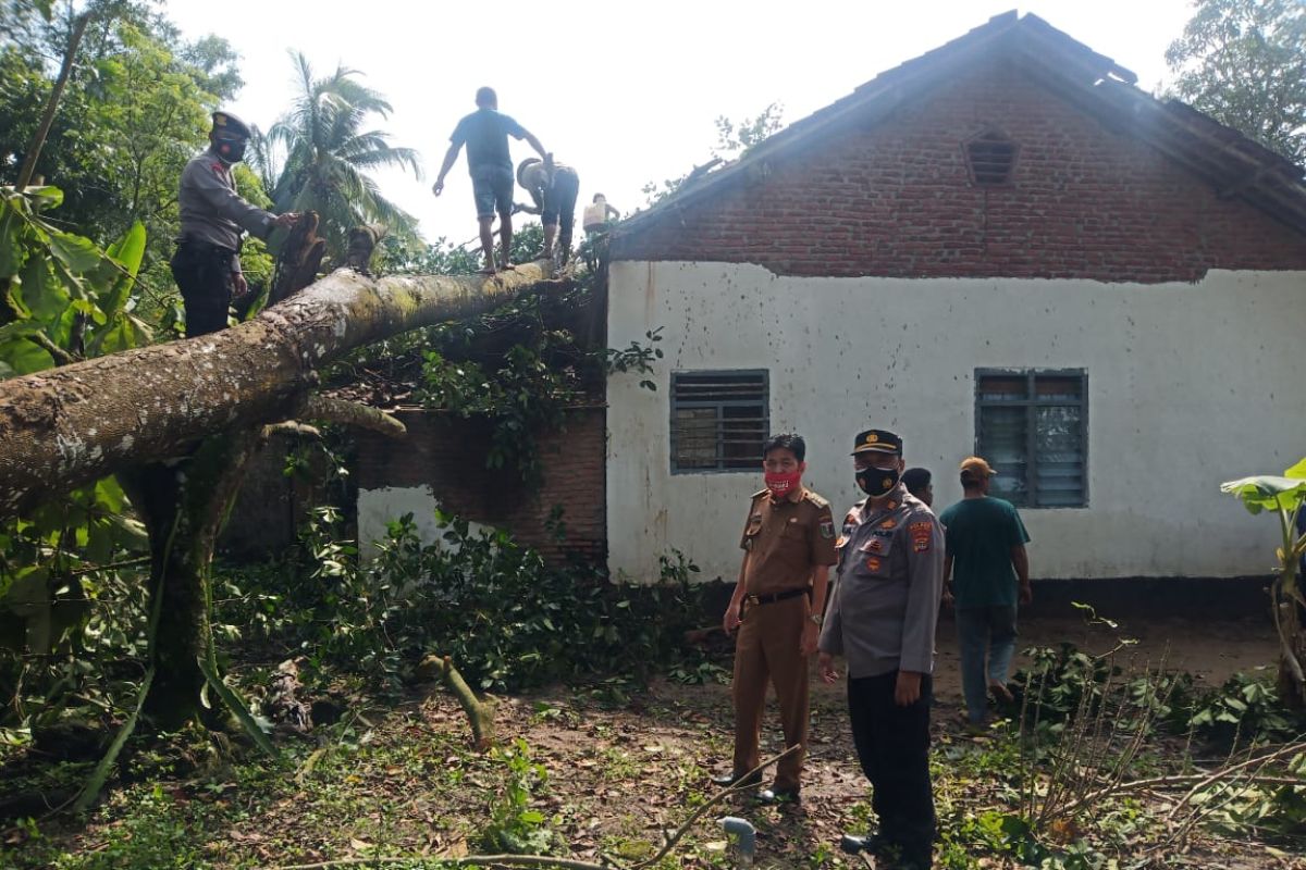 Dua desa di Pasir Sakti Lampung Timur diterjang angin kencang