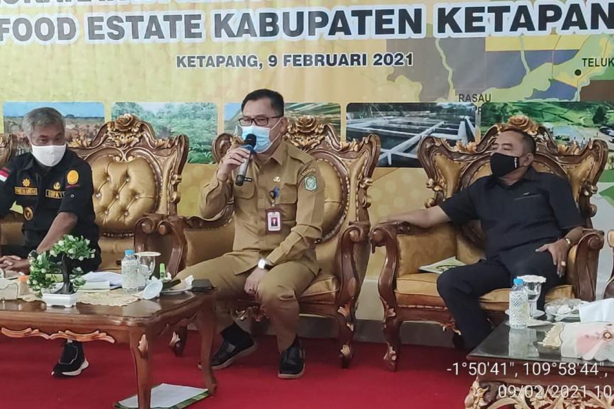 Distan TPH KalBar dukung pengembangan food estate di Ketapang