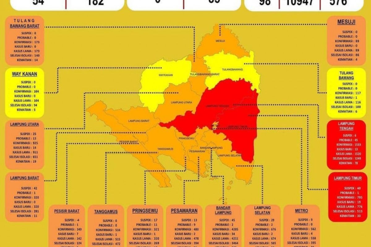 Pasien sembuh dari COVID-19 di Lampung bertambah 253 orang