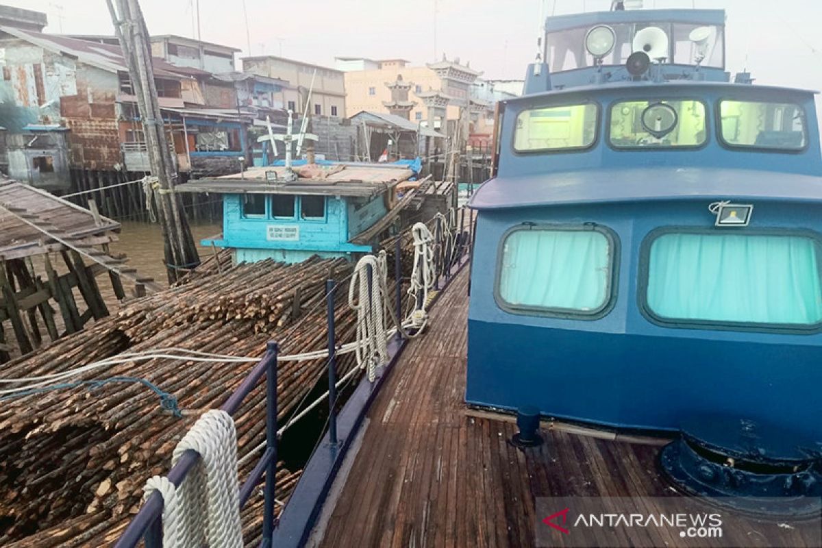 BC Riau gagalkan penyelundupan ribuan kayu bakau tujuan Malaysia