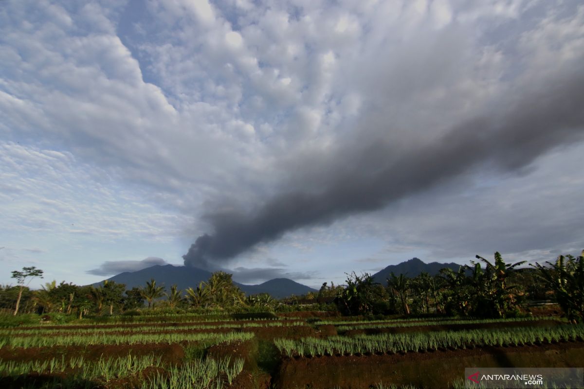 Erupsi Gunung Raung: BPBD Banyuwangi siapkan jalur evakuasi