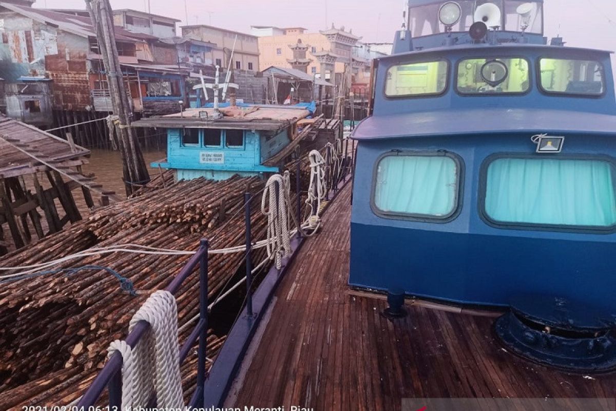 BC Riau gagalkan penyelundupan ribuan batang kayu bakau ke Malaysia