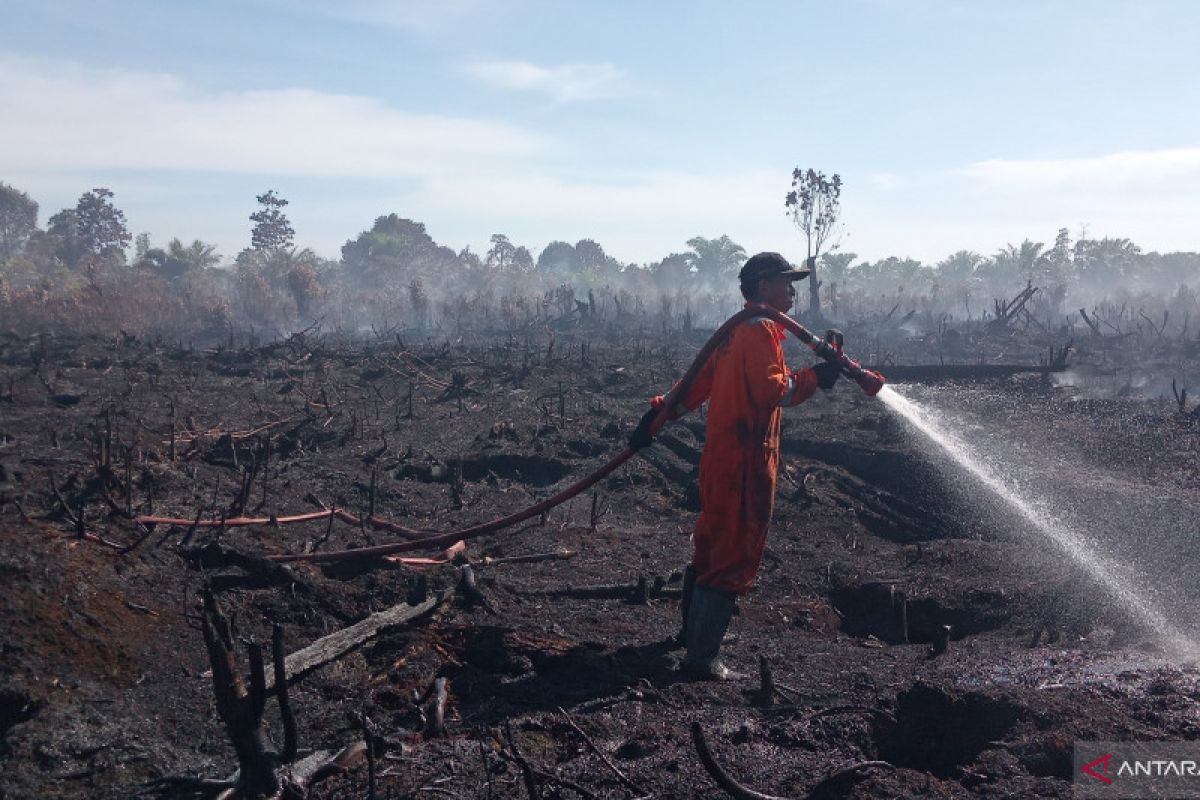 Tim gabungan Agam lanjutkan pemadaman kebakaran lahan sawit