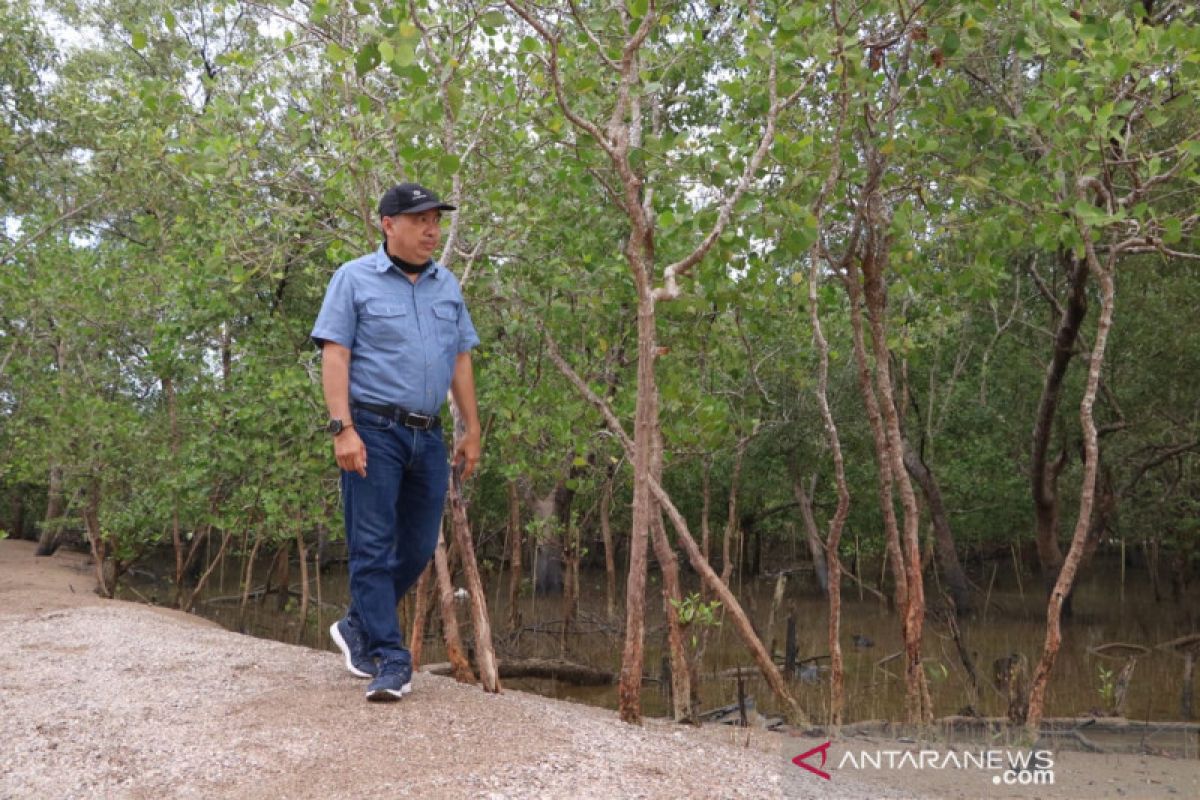 Ketua DPRD Inhil dukung pengembangan destinasi wisata Pantai Terumbu Mabloe