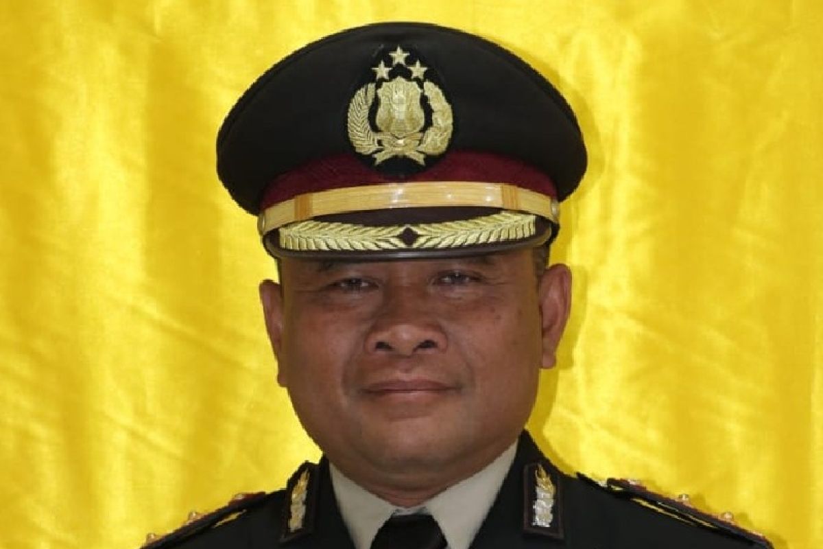 Kontak tembak TNI-Polri dengan KKB terjadi di Kabupaten Puncak